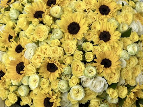 皆様のご来店を